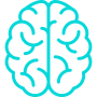 brain